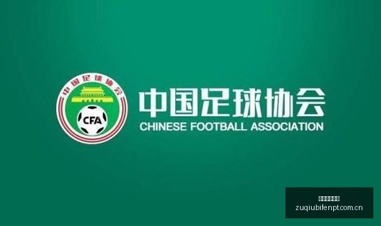 大模型布局,董秘详解公,司自研产品,足球即时比分,实况比分,沙发比分,赛果,sofa,score