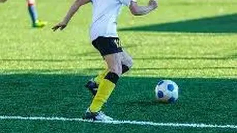 蒂格与SGA经纪人分道扬镳：合同审查仅需律师，费用仅需万元